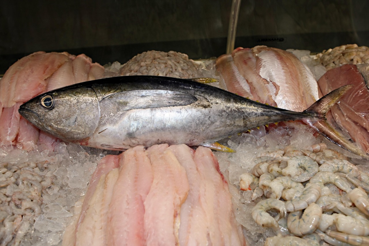 Semana Santa impulsiona venda de pescados na Ceasa de Maracanaú; tilápia e sardinha lideram procura