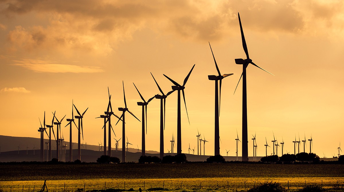 No Ceará as fábricas da Vicunha recebem energia do sistema eólico