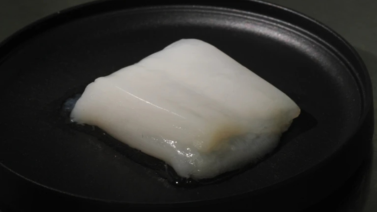Revolução Alimentar: Cientistas Japoneses Criam Maior &quot;Nugget&quot; de Frango Laboratorial com Sistema Inovador