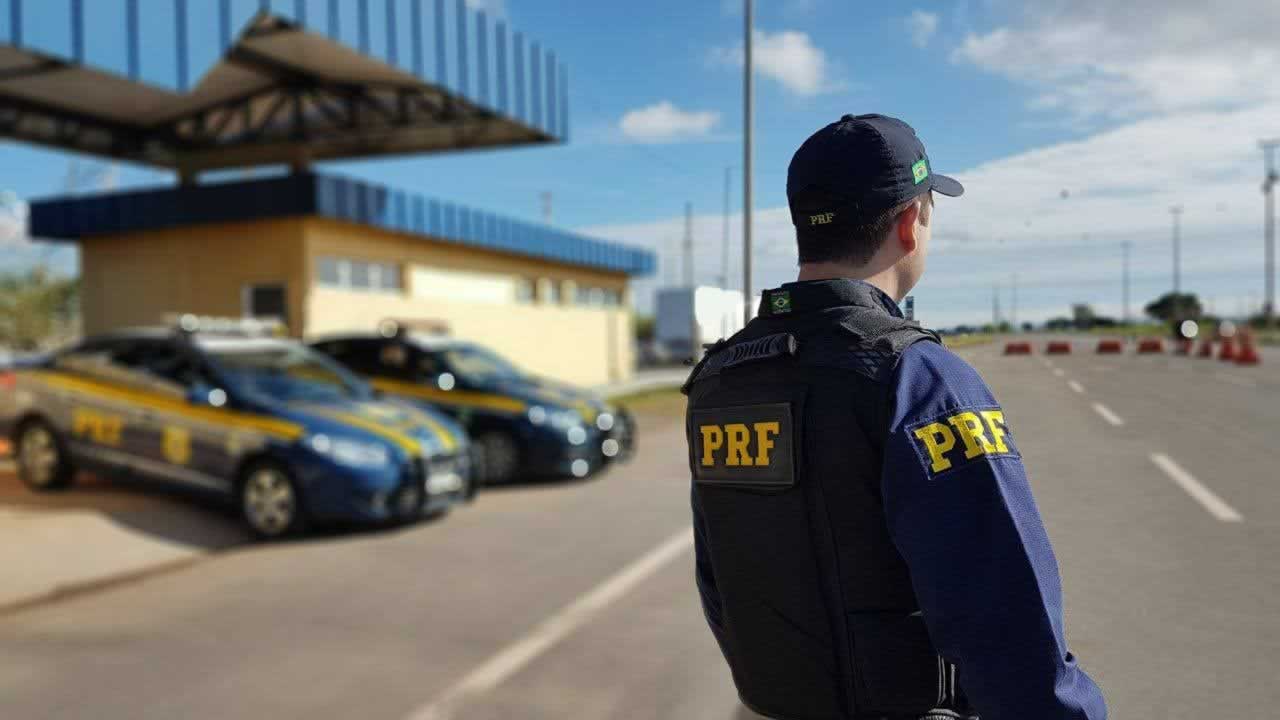 Queda de árvore interdita BR-222 no Ceará