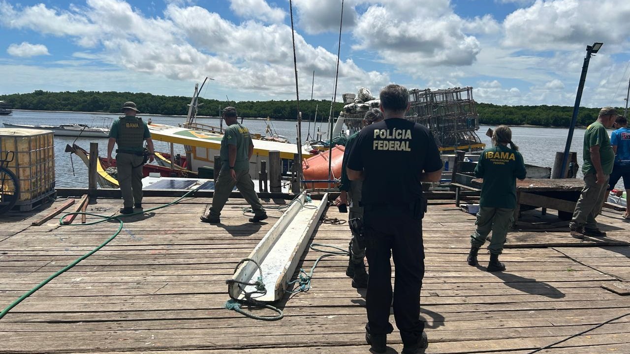 Operação Panulirus: PF e IBAMA Fecham o Cerco Contra a Pesca Ilegal de Lagosta no Ceará e Nordeste