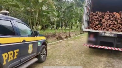 PRF Flagra Caminhão Abastecido de Madeira Nativa Ilegal em Tianguá