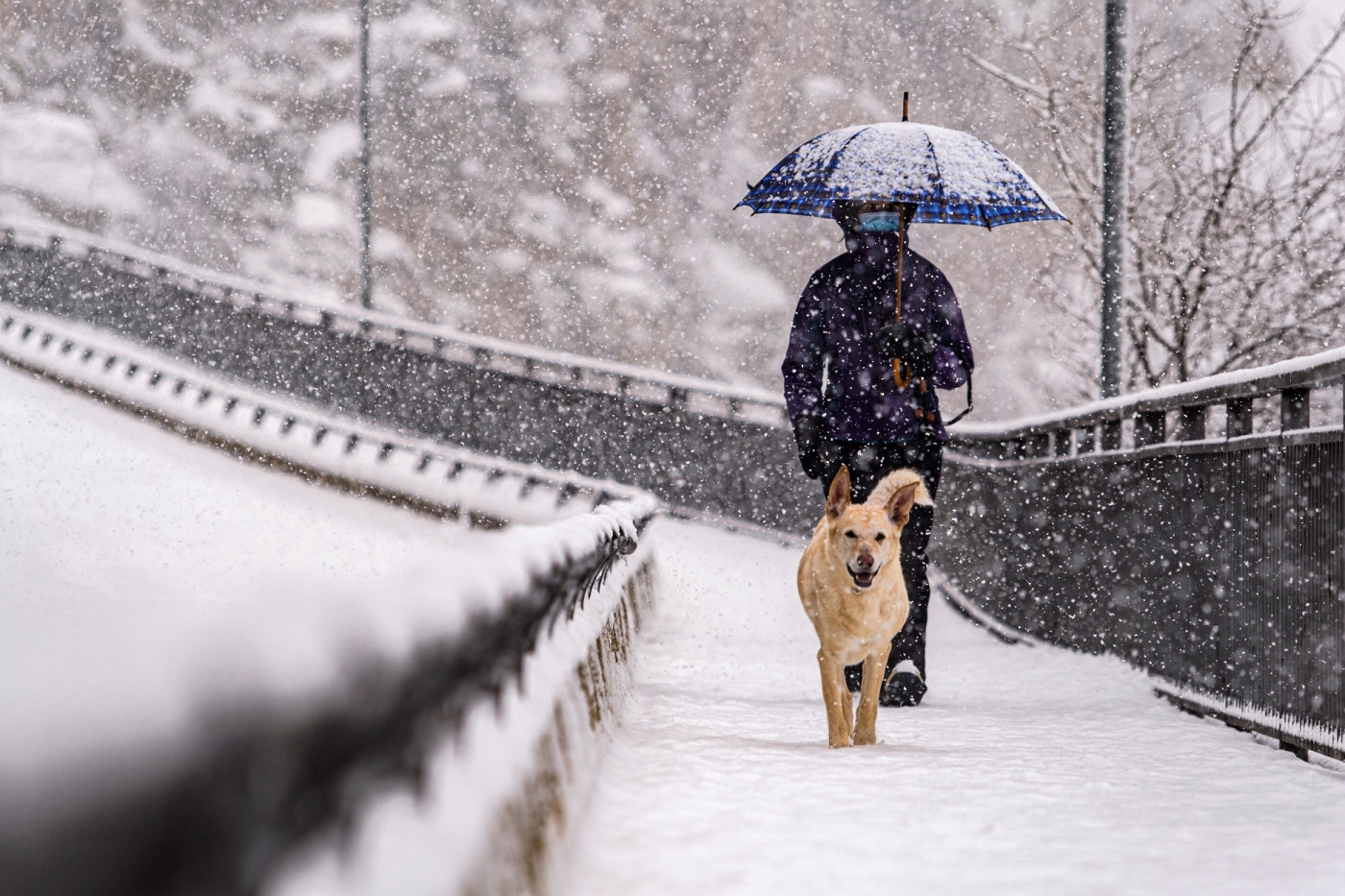 Neve Intensa Cobre Espanha e Transforma Sierra Nevada em Paraíso do Esqui