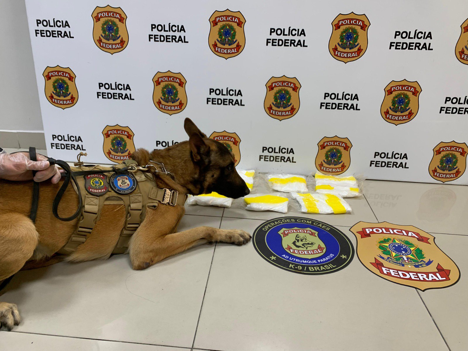 Aeroporto de Fortaleza: Receita Federal Apreende 5,4 Kg de Cocaína em Encomenda Postal