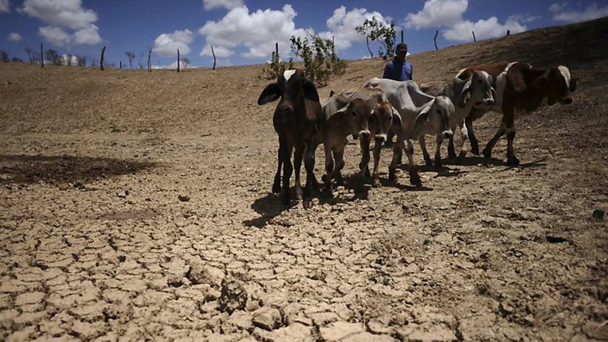 Drama Hídrico no Sertão Acende Alerta no Ceará : A Realidade Amarga da Seca Persistente!