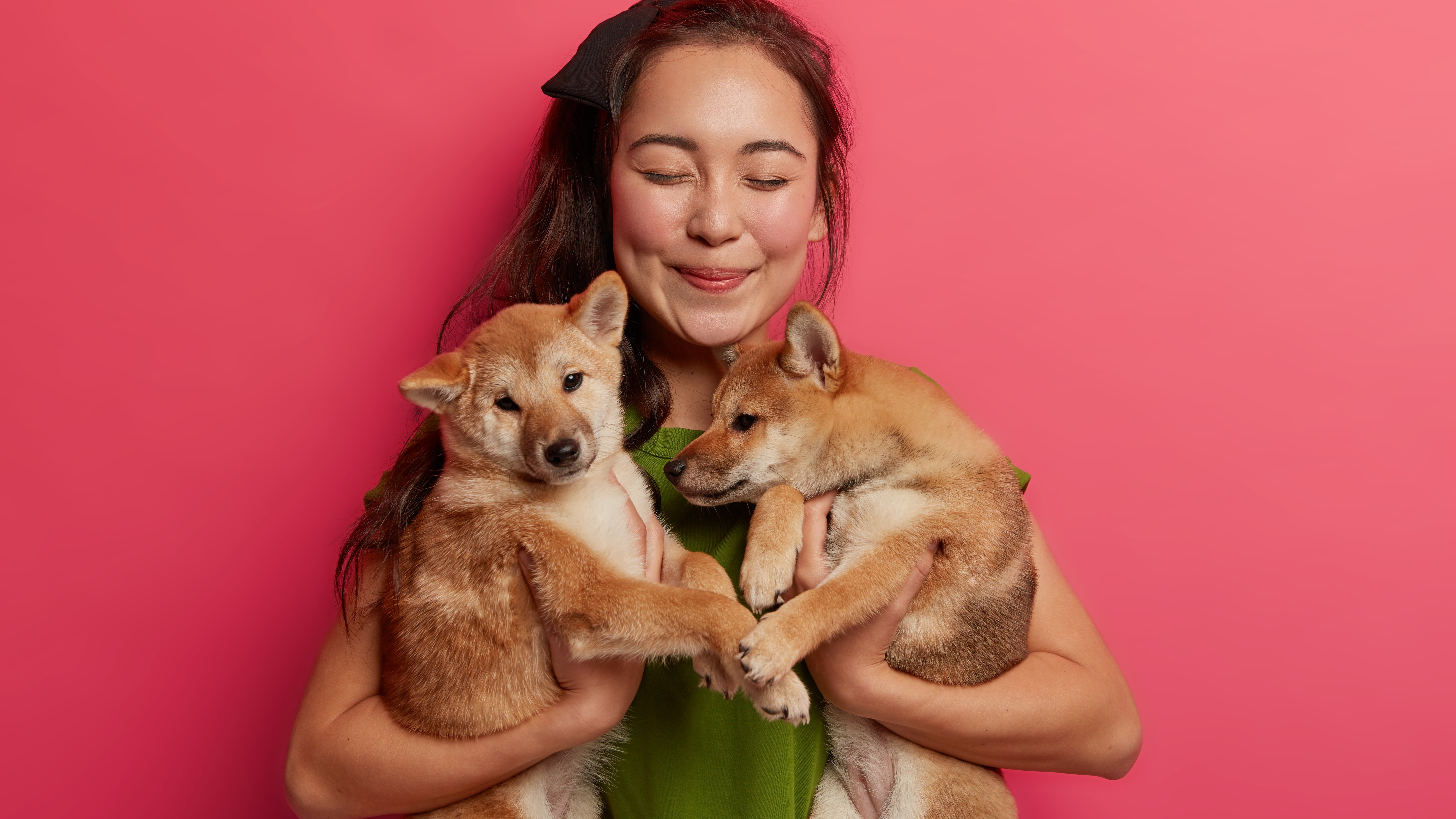 Baidu desenvolve tradutor inovador para comunicação entre humanos e pets