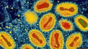 Ameaça Invisível e Falha Chocante: Europa em Alerta por Fungo Mortífero Enquanto Vírus Perigosos &quot;Evaporam&quot; na Austrália!