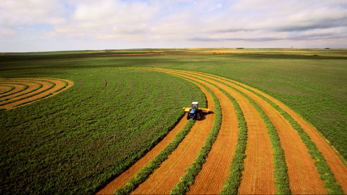 PIB do Brasil cresce 1,4% no 1º trimestre de 2025, com agropecuária como principal motor, aponta IBGE