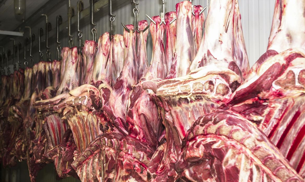 Carne brasileira: Uma nova porta de bilhões se abre para a Indonésia, o 4º país mais populoso do mundo
