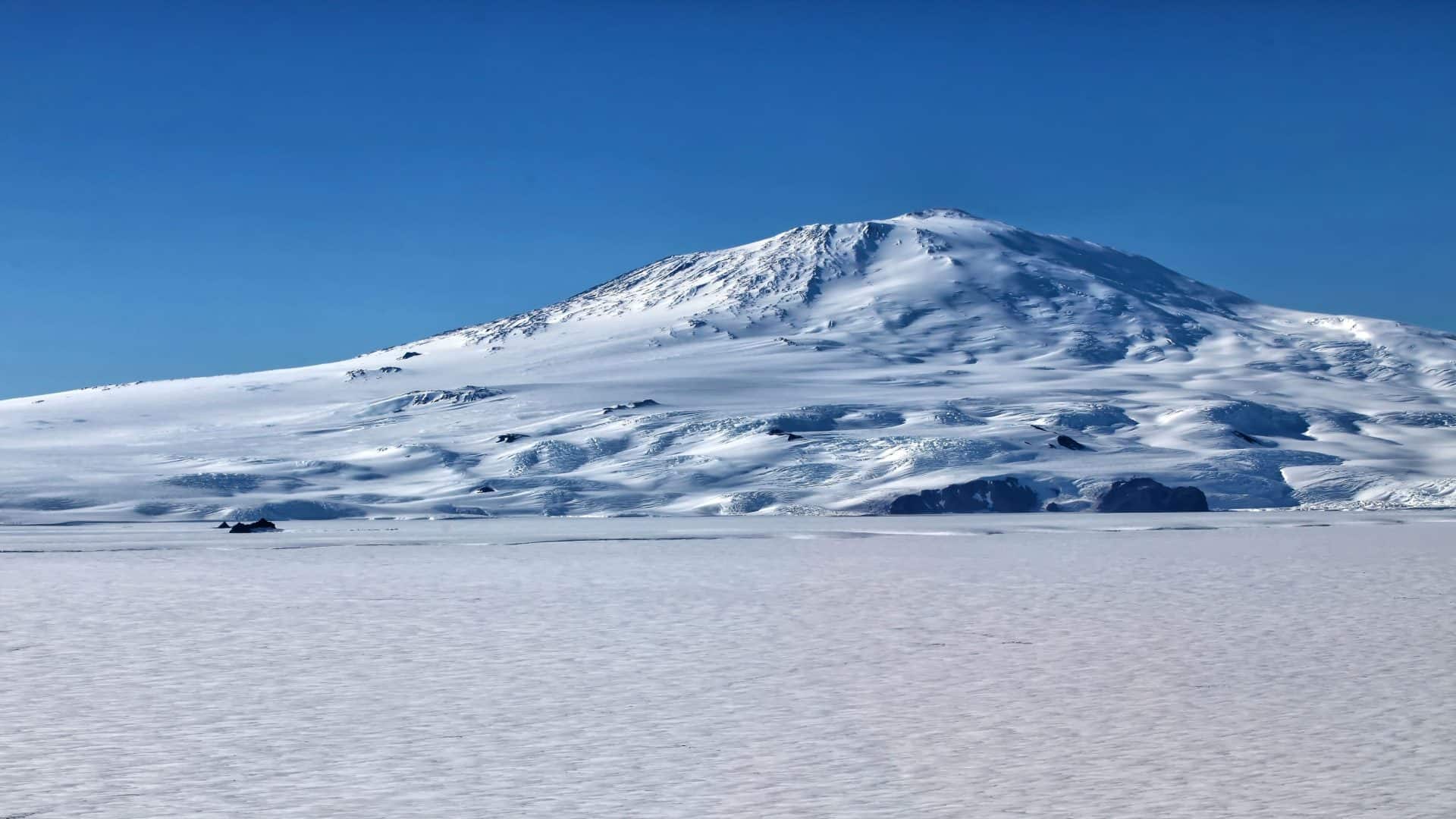 Terremoto de 7,5 na Antártica: A Terra treme em lugar inusitado e o mundo se mantém em alerta
