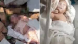 Chocante Descoberta: Bebê Recém-Nascido é Salvo após Ser Encontrado no Lixo com Pedra na Boca