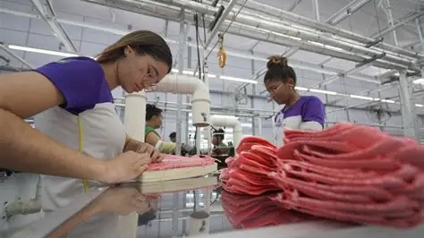 Imagem da notícia: CEARÁ CRIA MAIS DE 49 MIL EMPREGOS FORMAIS E SE DESTACA NA GERAÇÃO DE VAGAS NO NORDESTE