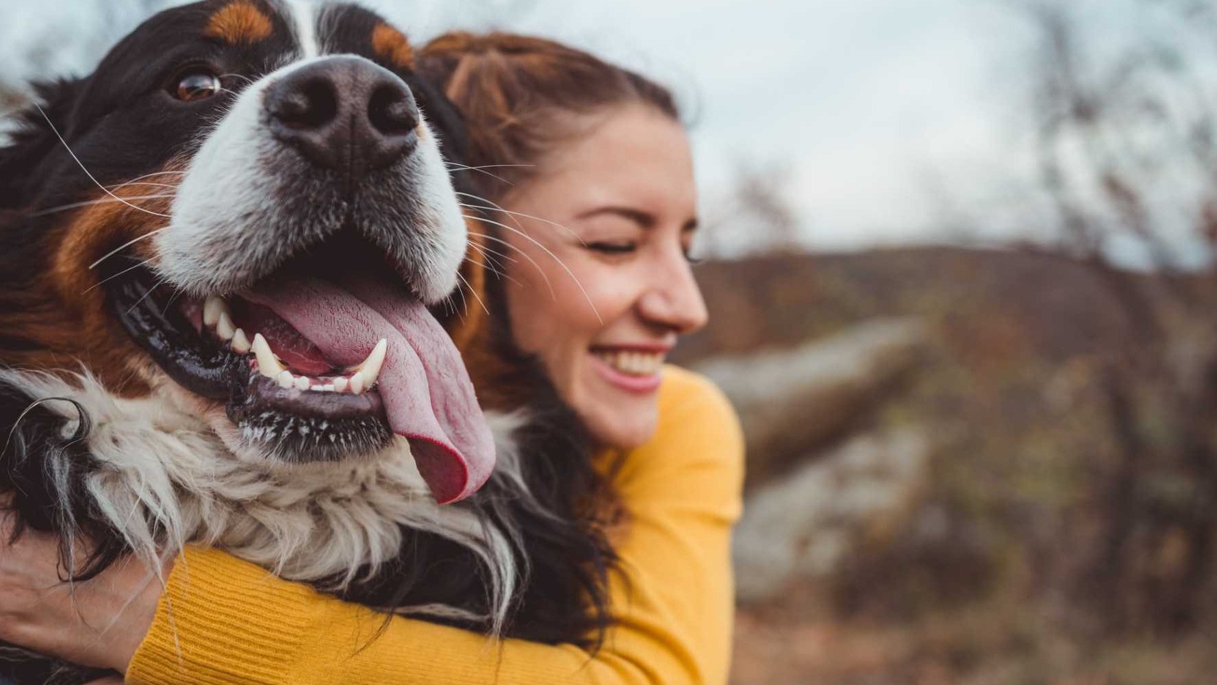 Conexão entre humanos e cães: um laço vital
