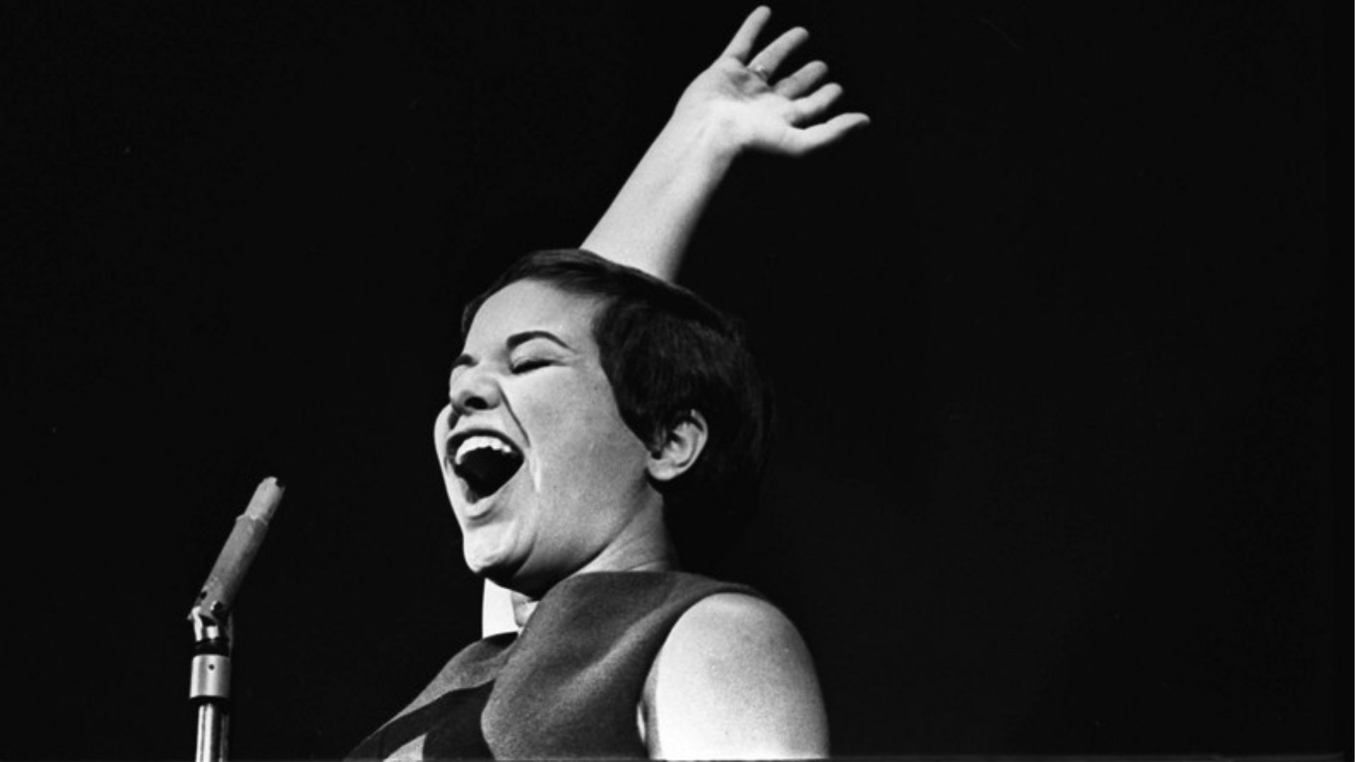 Nunca vamos usar: Filho de Elis Regina sobre o espectro do holograma em shows