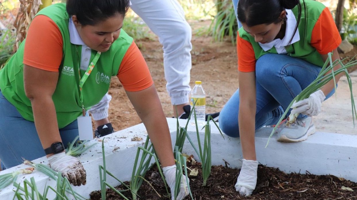 Ceará Abre 9.591 Vagas para Jovens Protegerem o Meio Ambiente
