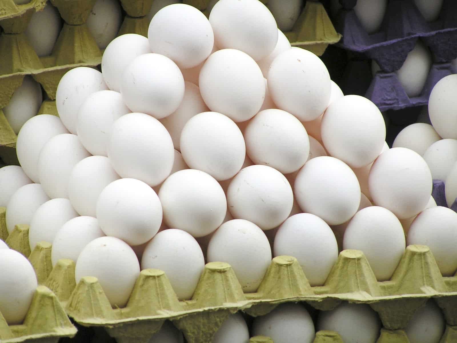 Ovo Dispara: Preço Salta Quase 20% em Março e Preocupa Consumidores