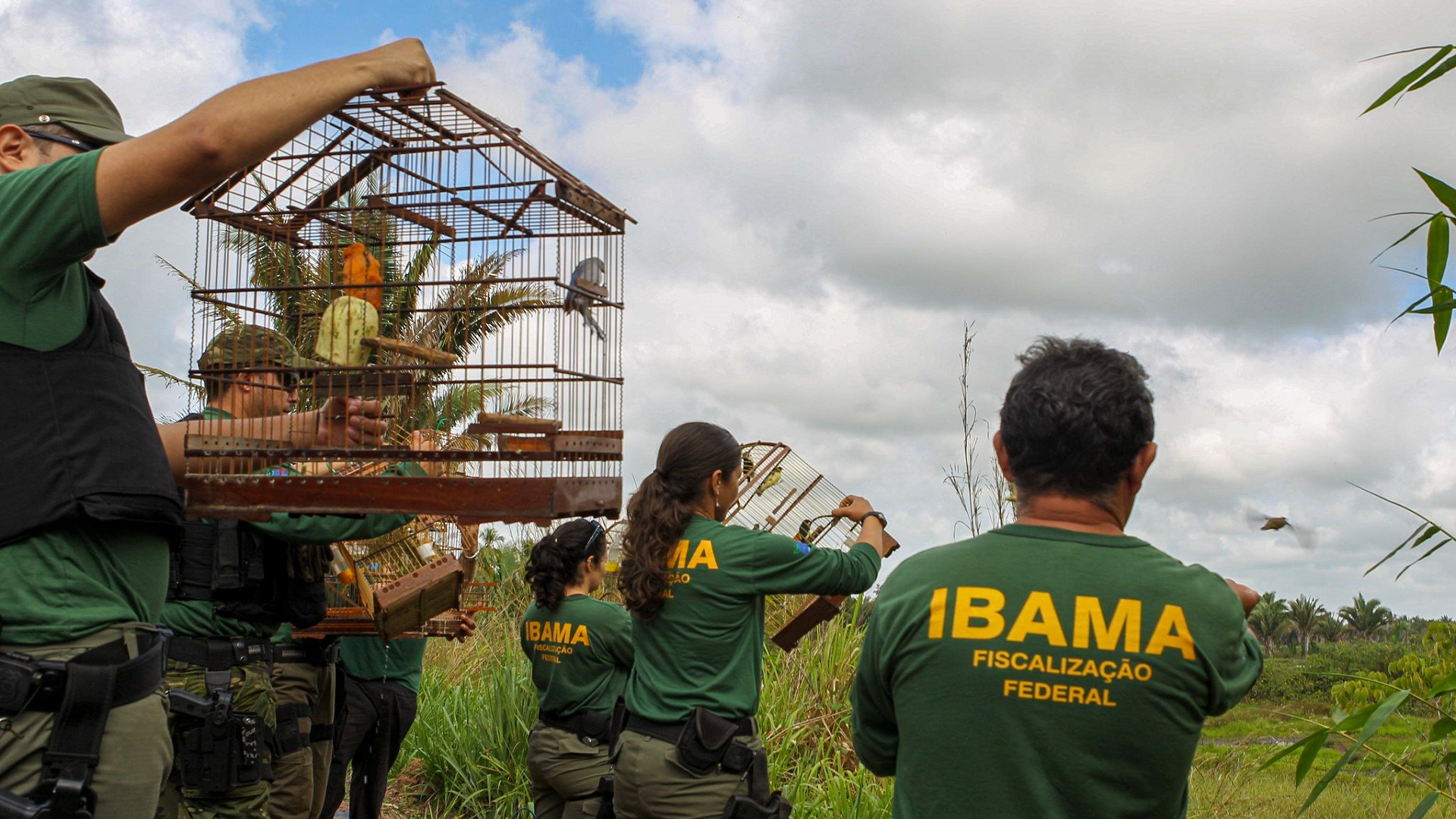 Concurso Ibama: Locais de Prova Divulgados Hoje; Ceará Tem Vagas