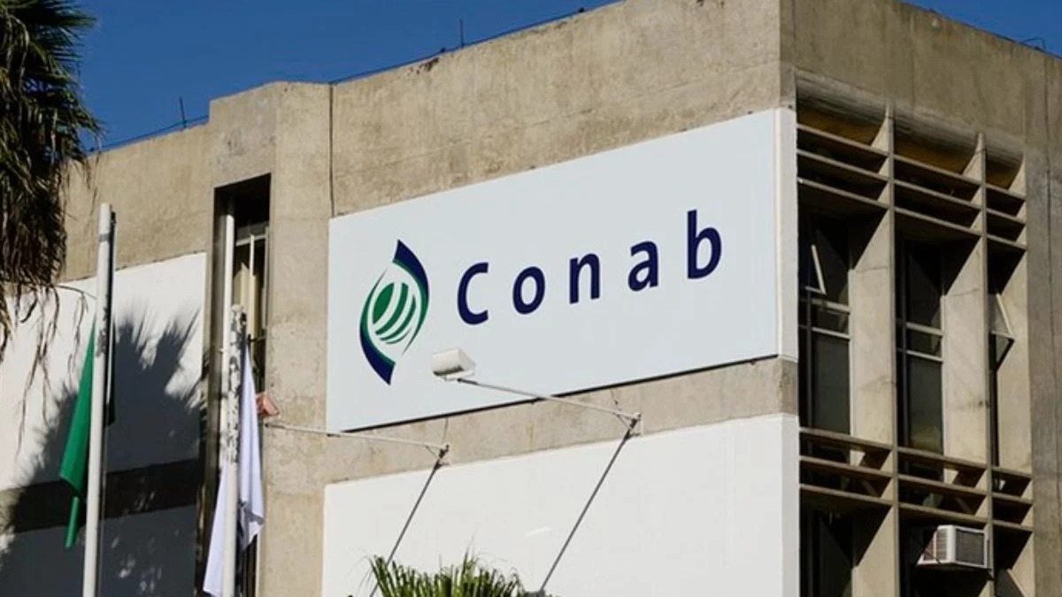 Concurso da Conab abre 403 vagas com salários de até R$ 8,1 mil; Ceará tem oportunidades