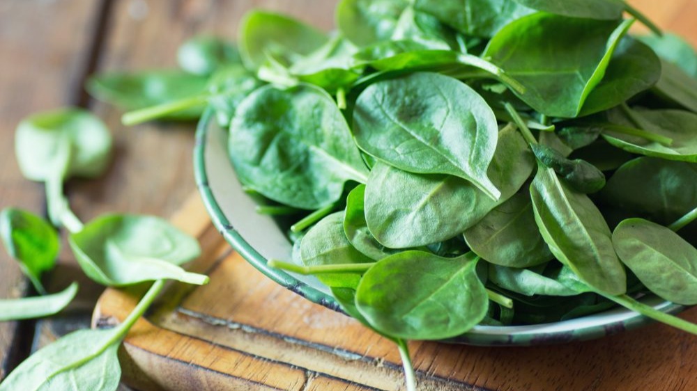 Cultivo de espinafre: Uma urgência nutricional em tempos de insegurança alimentar
