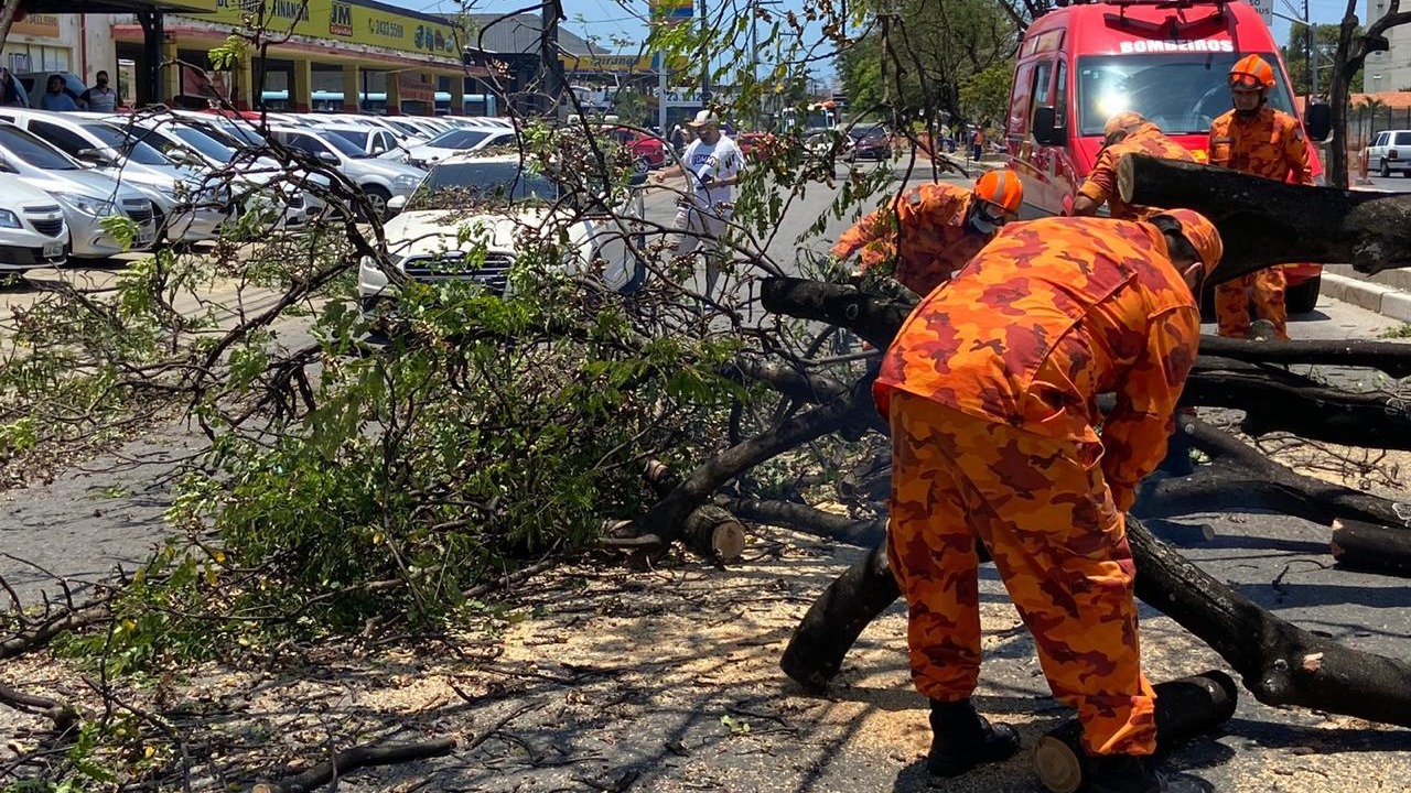Caminhão bate em árvore na Avenida José Bastos e motorista fica ferido.